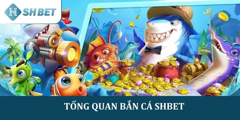Ban-ca-SHBE